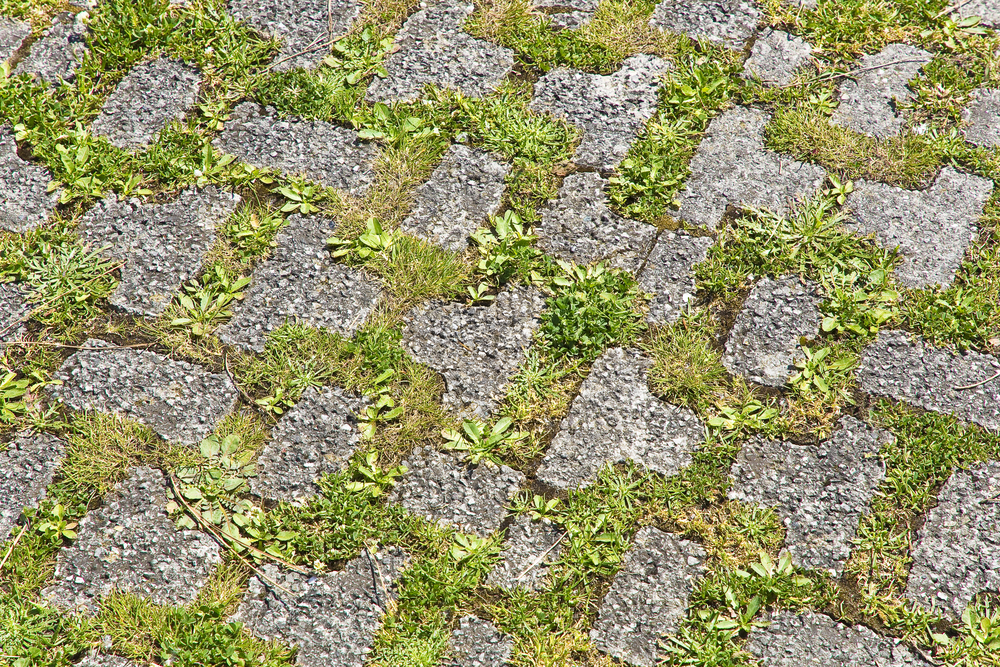 The Environmental Benefits Of Using Permeable Pavers In Your Home